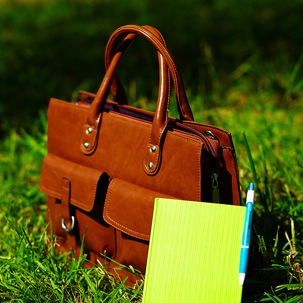 Bag